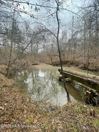 $720,000 | 157 Eulogy Road, Lexington, MS 39095