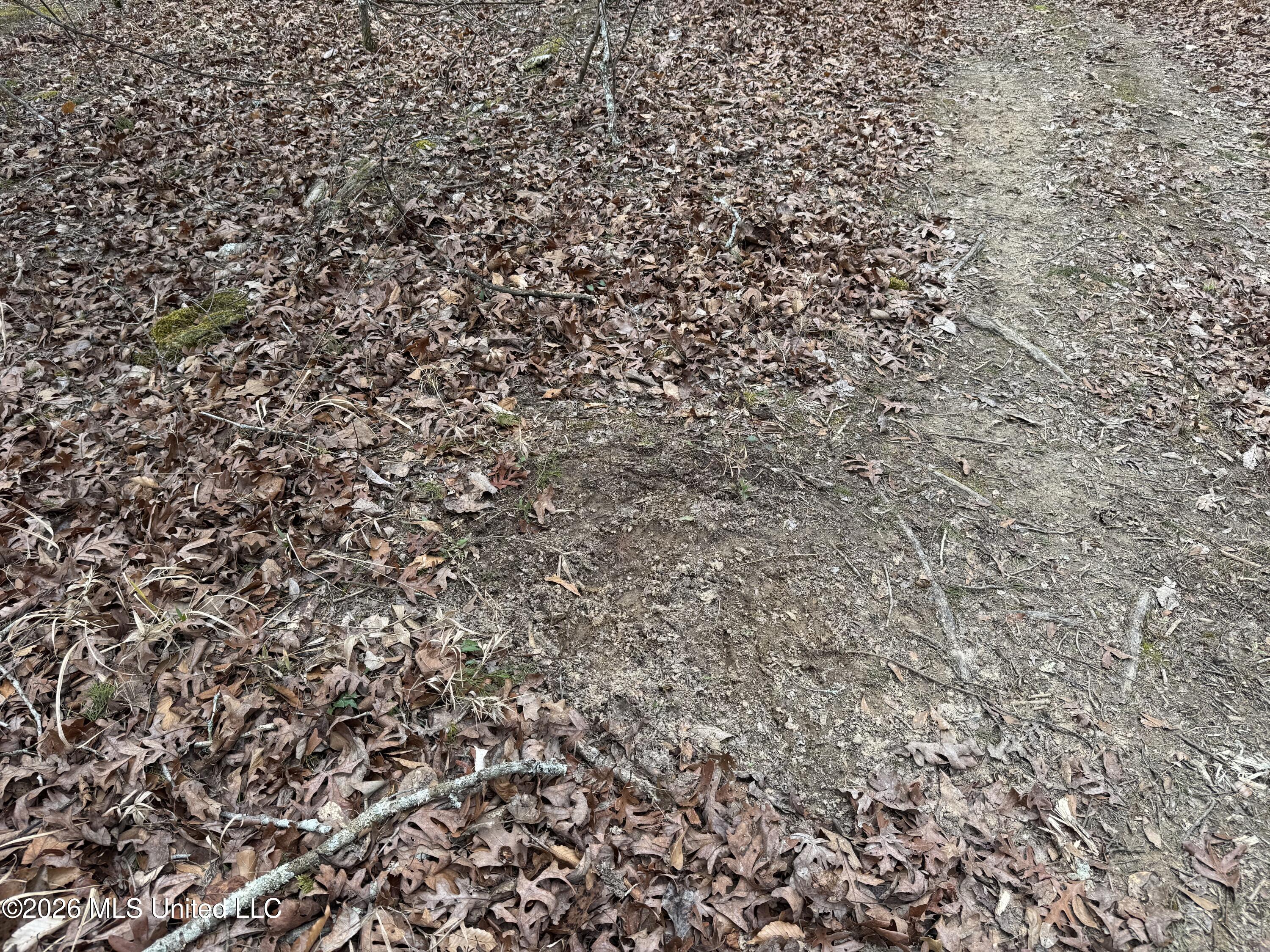 157 Eulogy Road Lexington, MS 39095 - Photo 35 of 60 Photo Feb 10 2026, 11 00 22