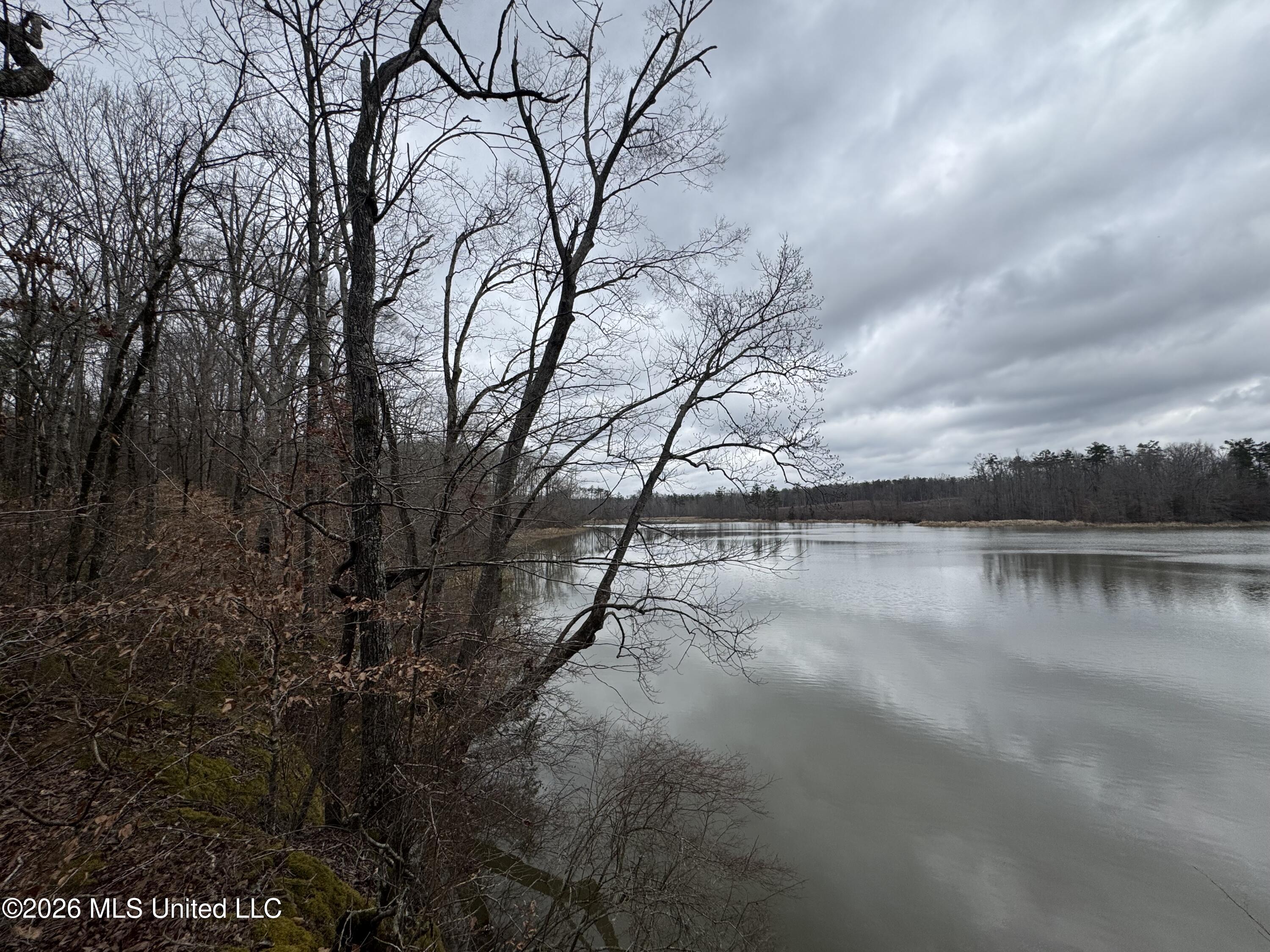 157 Eulogy Road Lexington, MS 39095 - Photo 36 of 60 Photo Feb 10 2026, 11 00 51