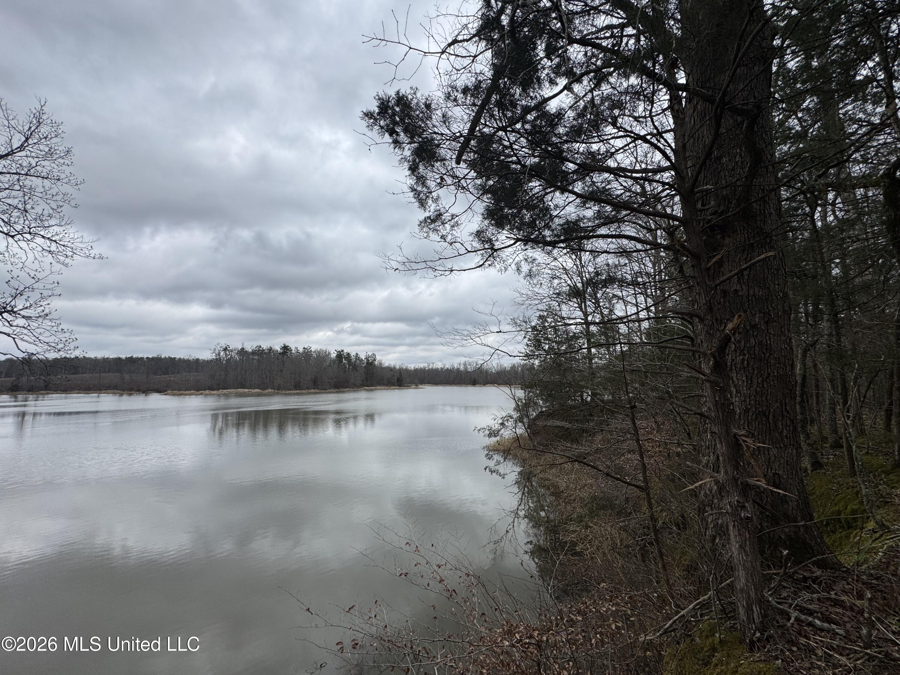 157 Eulogy Road Lexington, MS 39095 - Photo 37 of 60 Photo Feb 10 2026, 11 00 54