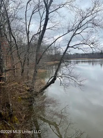 $720,000 | 157 Eulogy Road, Lexington, MS 39095