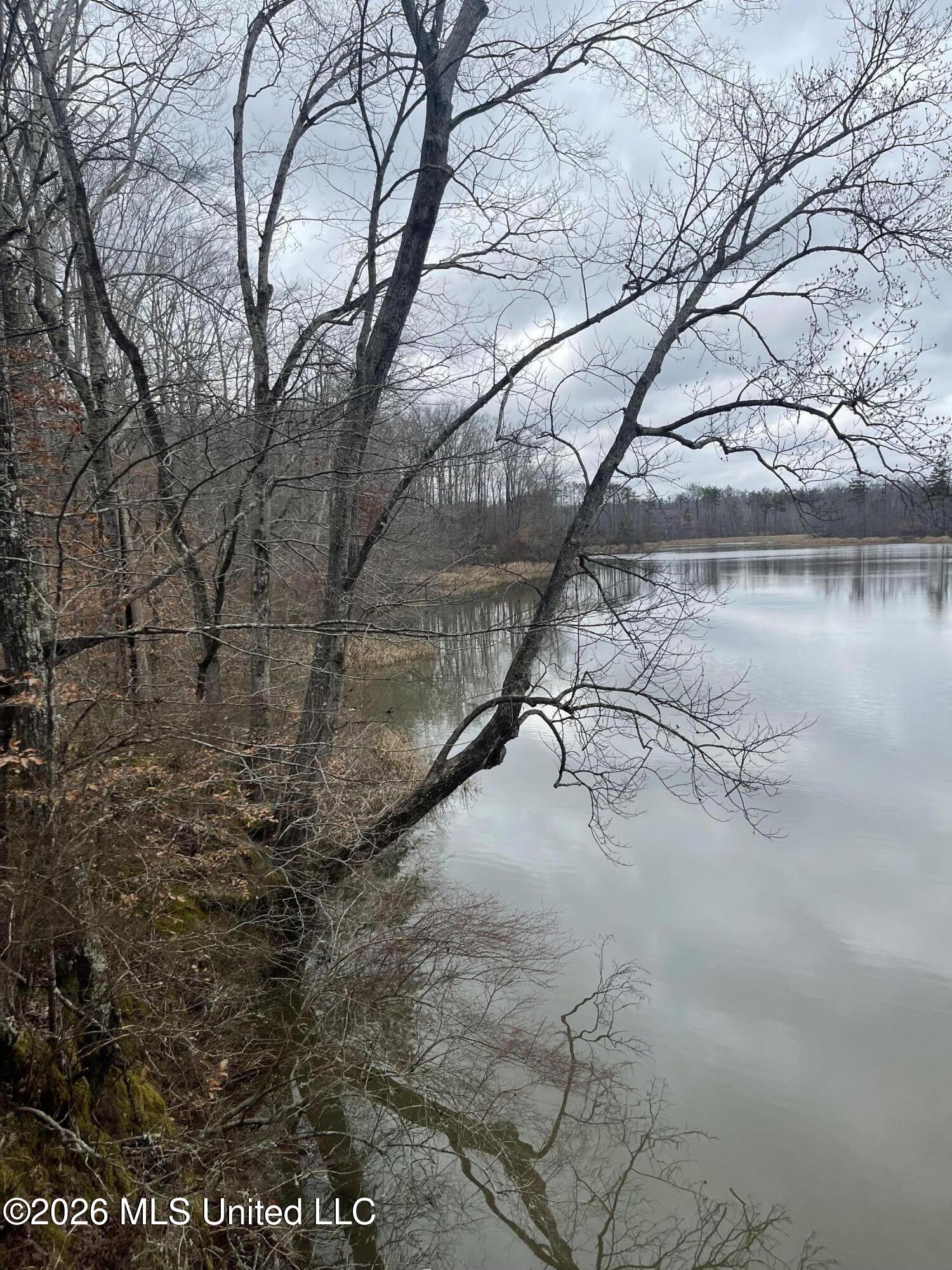 157 Eulogy Road Lexington, MS 39095 - Photo 38 of 60 Photo Feb 10 2026, 11 01 14