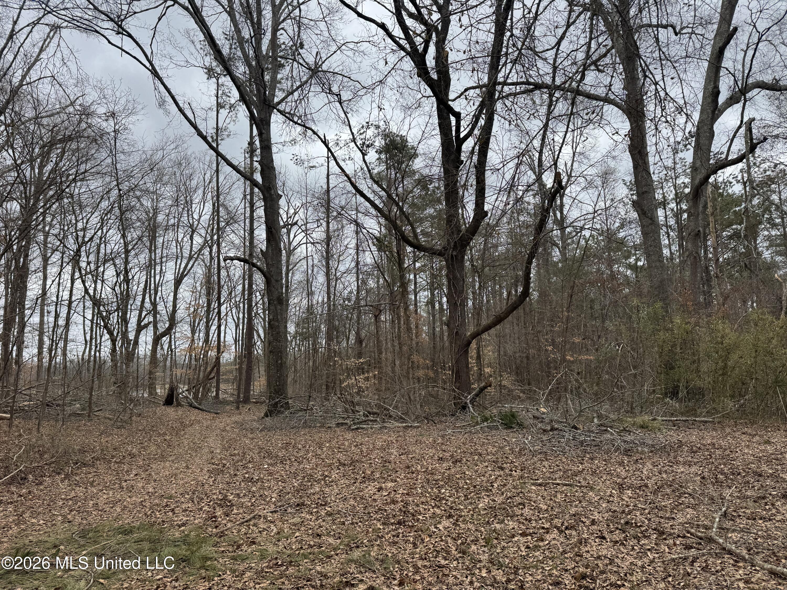 157 Eulogy Road Lexington, MS 39095 - Photo 39 of 60 Photo Feb 10 2026, 11 03 18