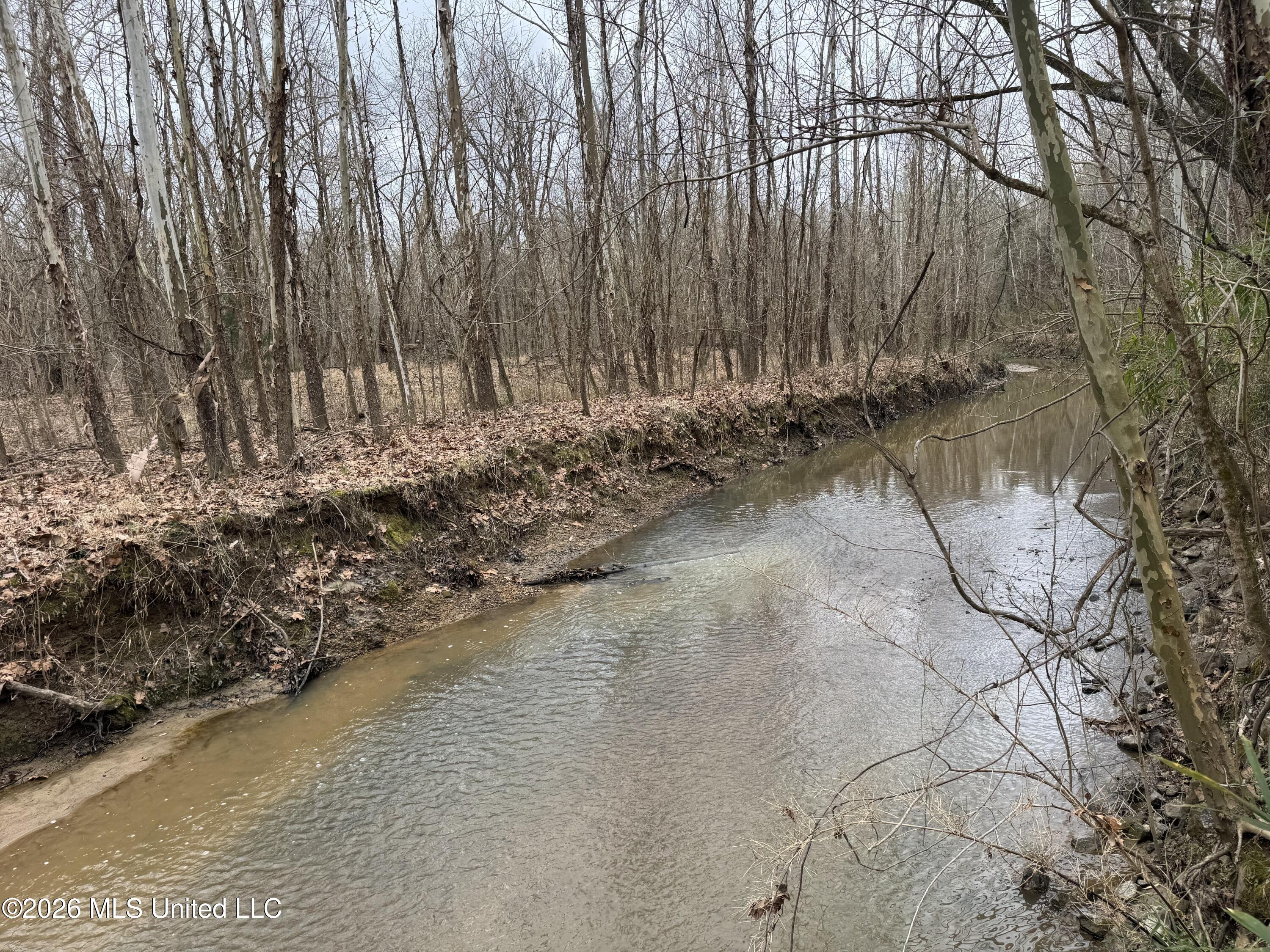 157 Eulogy Road Lexington, MS 39095 - Photo 4 of 60 3a- MLS