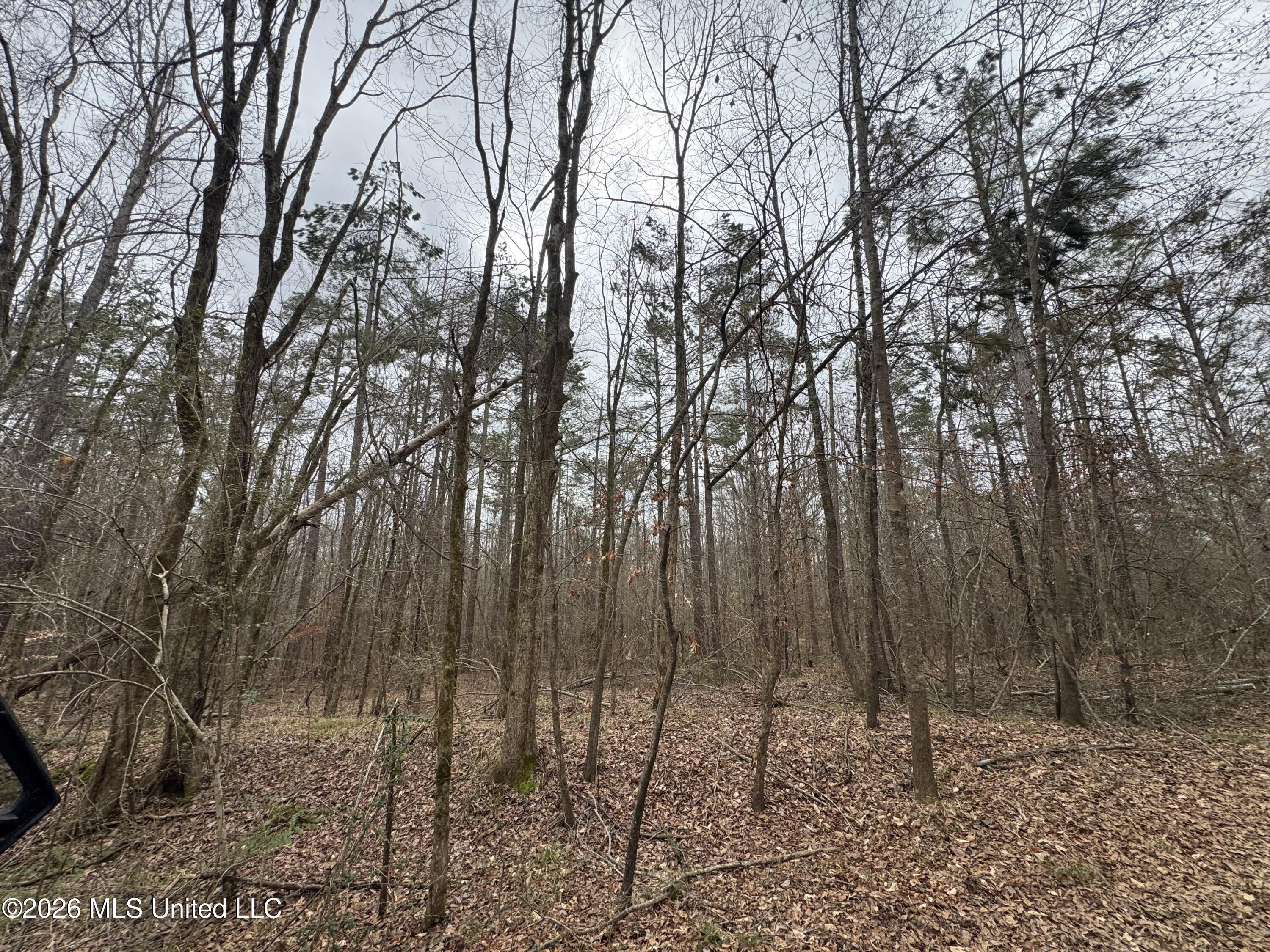 157 Eulogy Road Lexington, MS 39095 - Photo 43 of 60 Photo Feb 10 2026, 11 04 56