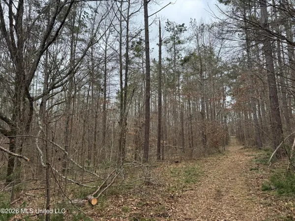 $720,000 | 157 Eulogy Road, Lexington, MS 39095