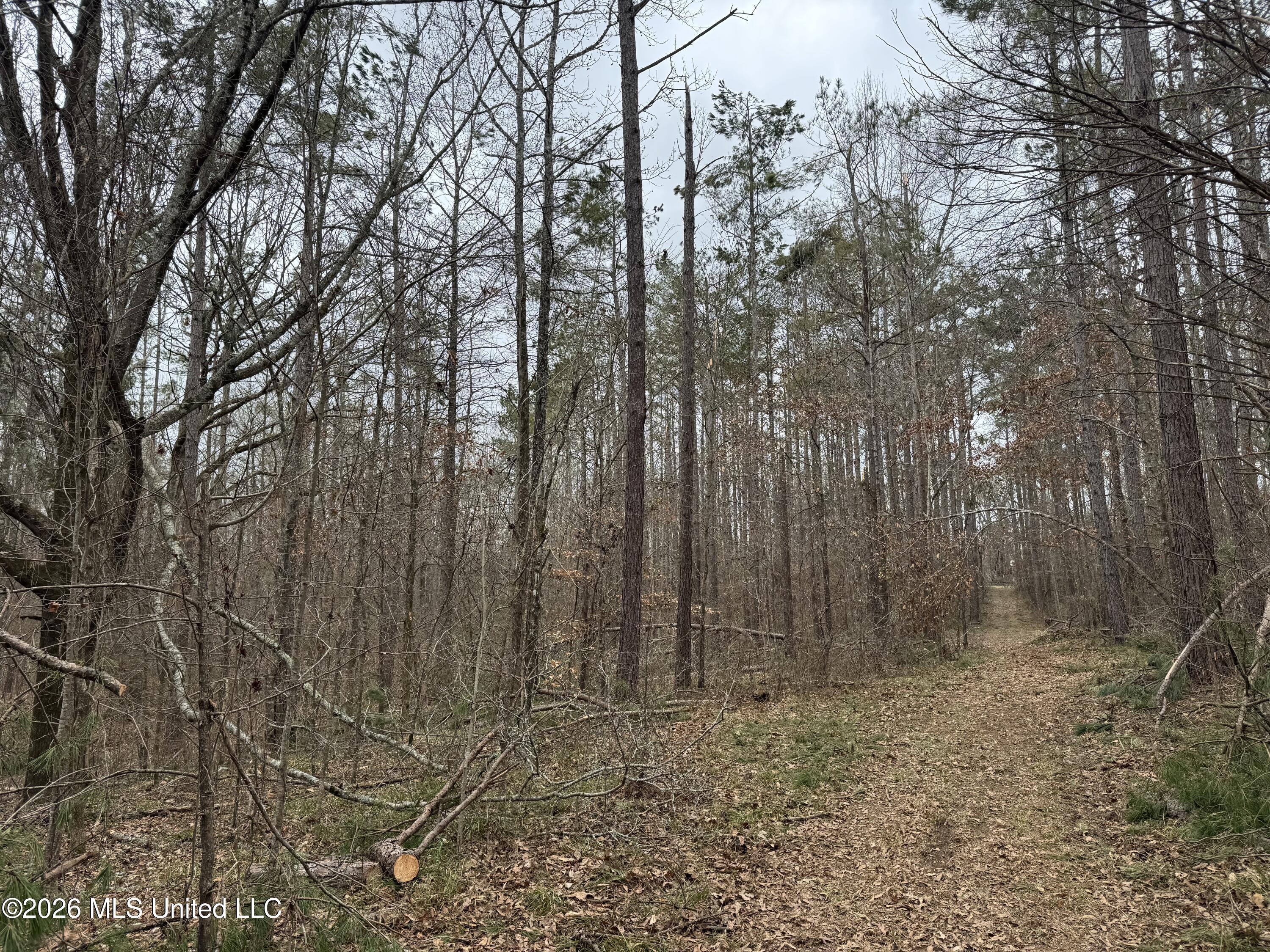 157 Eulogy Road Lexington, MS 39095 - Photo 44 of 60 Photo Feb 10 2026, 11 05 37