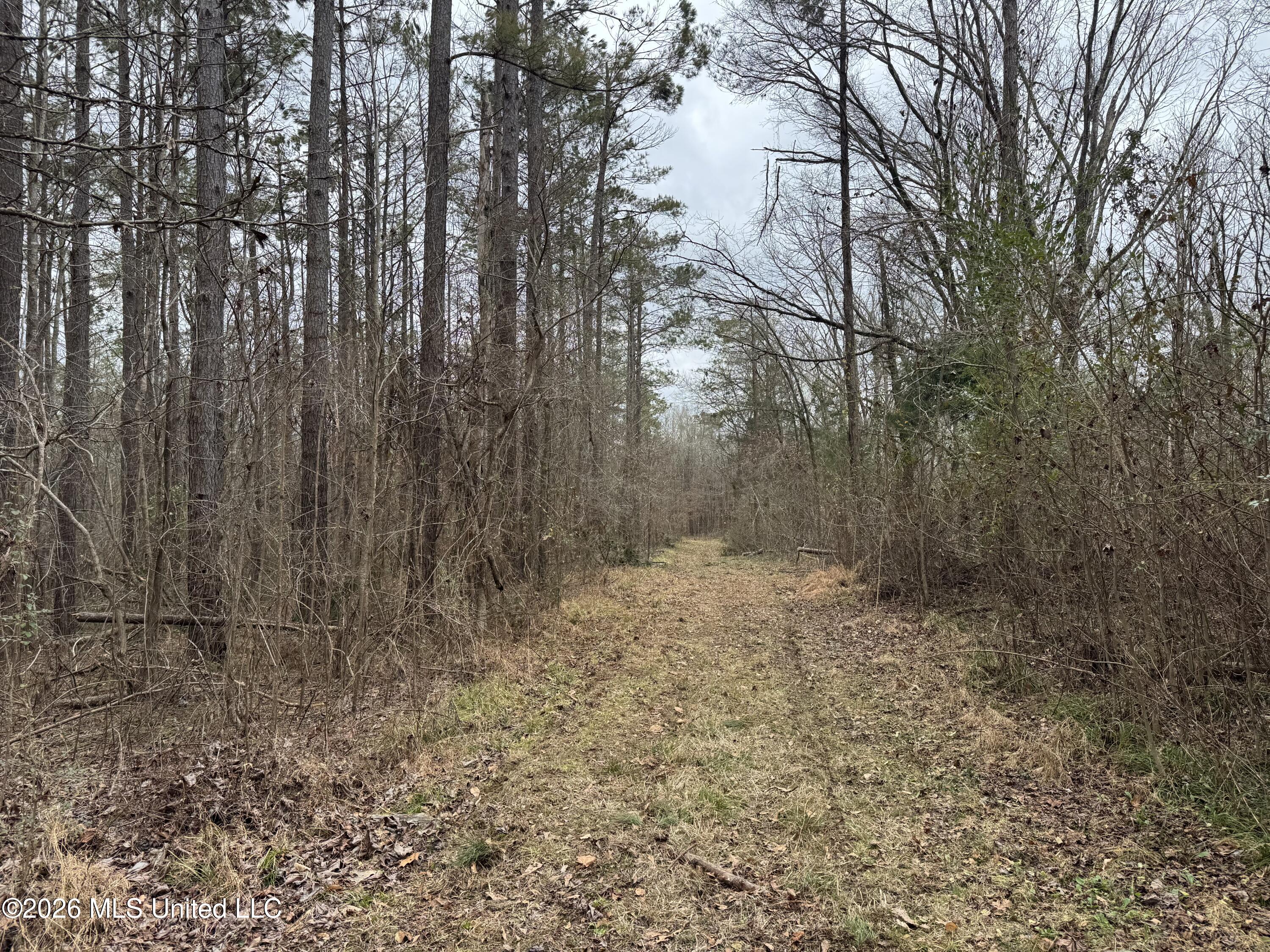 157 Eulogy Road Lexington, MS 39095 - Photo 45 of 60 Photo Feb 10 2026, 11 06 37