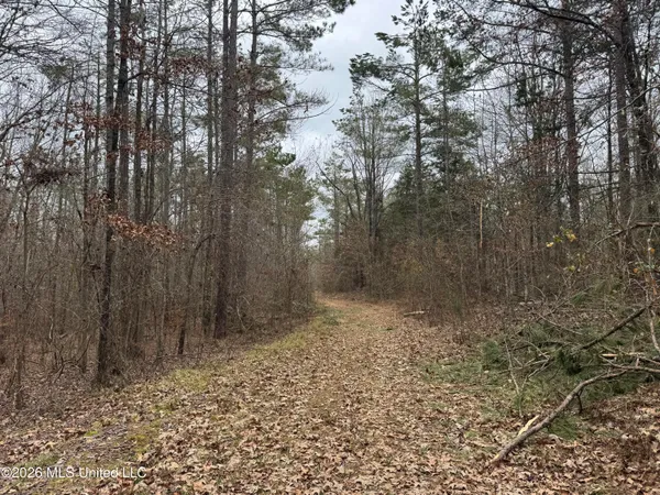 $720,000 | 157 Eulogy Road, Lexington, MS 39095
