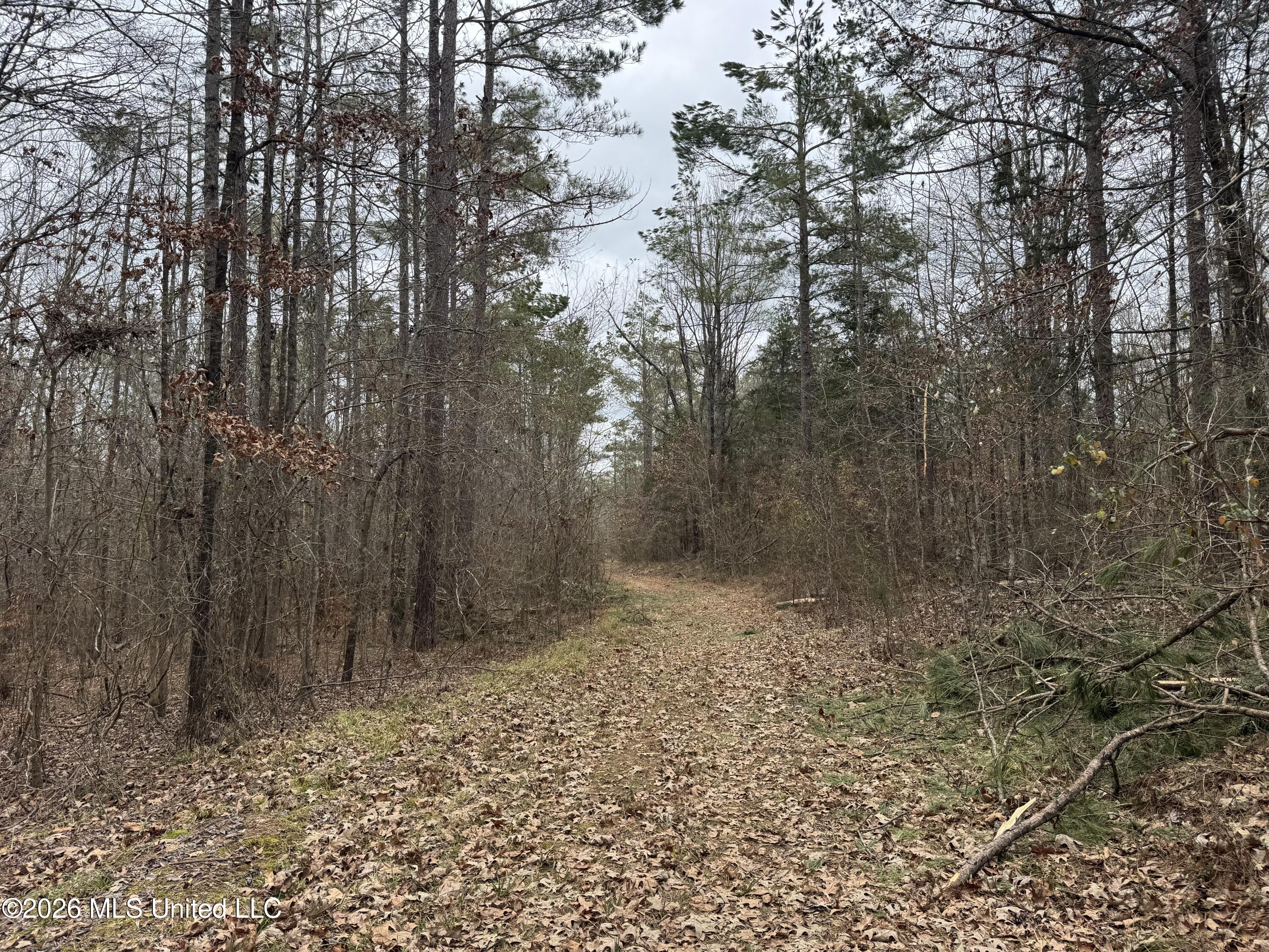 157 Eulogy Road Lexington, MS 39095 - Photo 46 of 60 Photo Feb 10 2026, 11 07 13