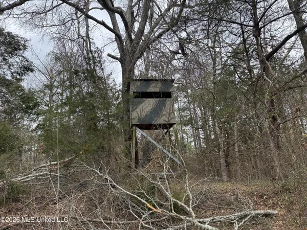 $720,000 | 157 Eulogy Road, Lexington, MS 39095