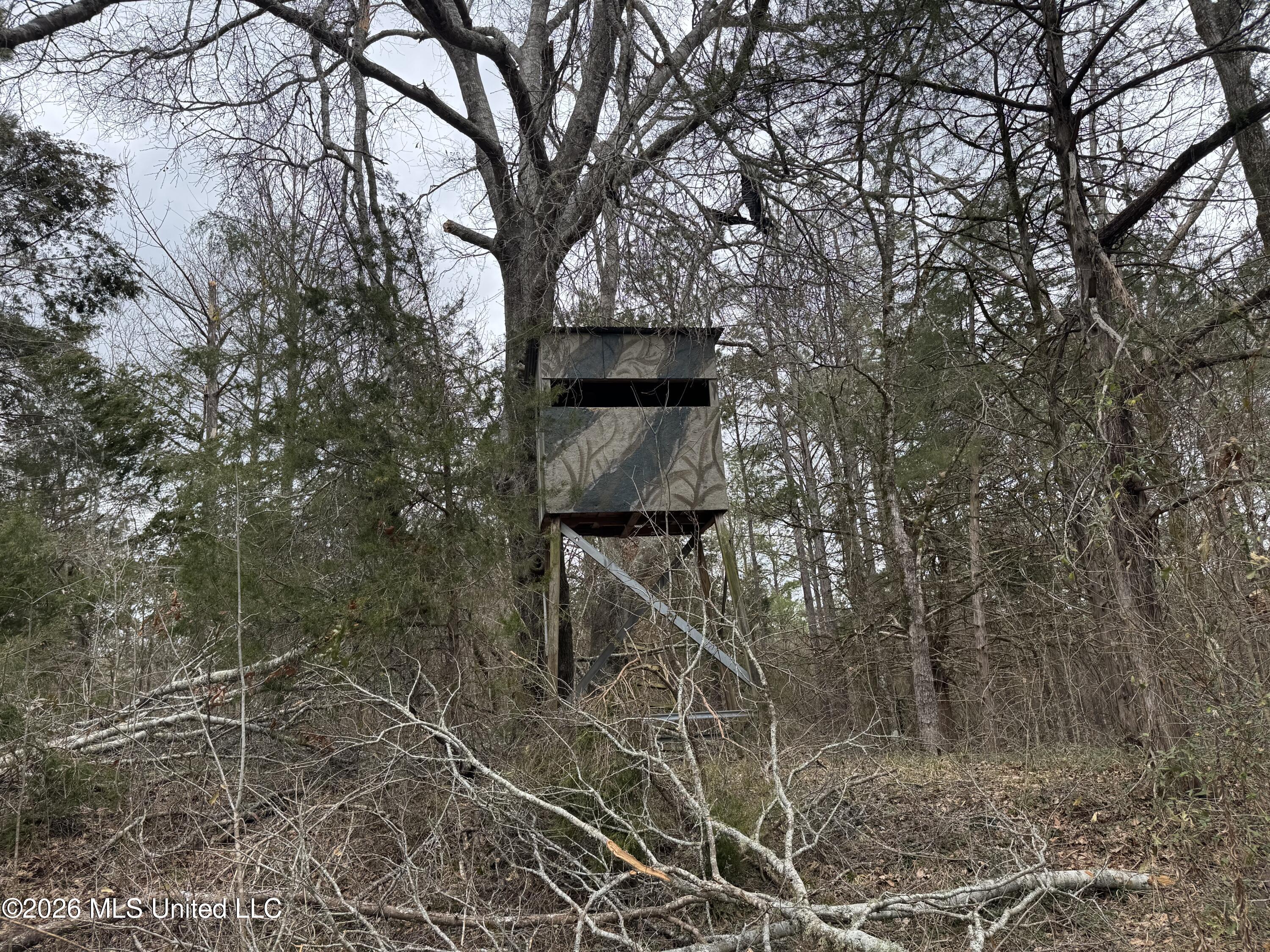 157 Eulogy Road Lexington, MS 39095 - Photo 47 of 60 Photo Feb 10 2026, 11 08 39