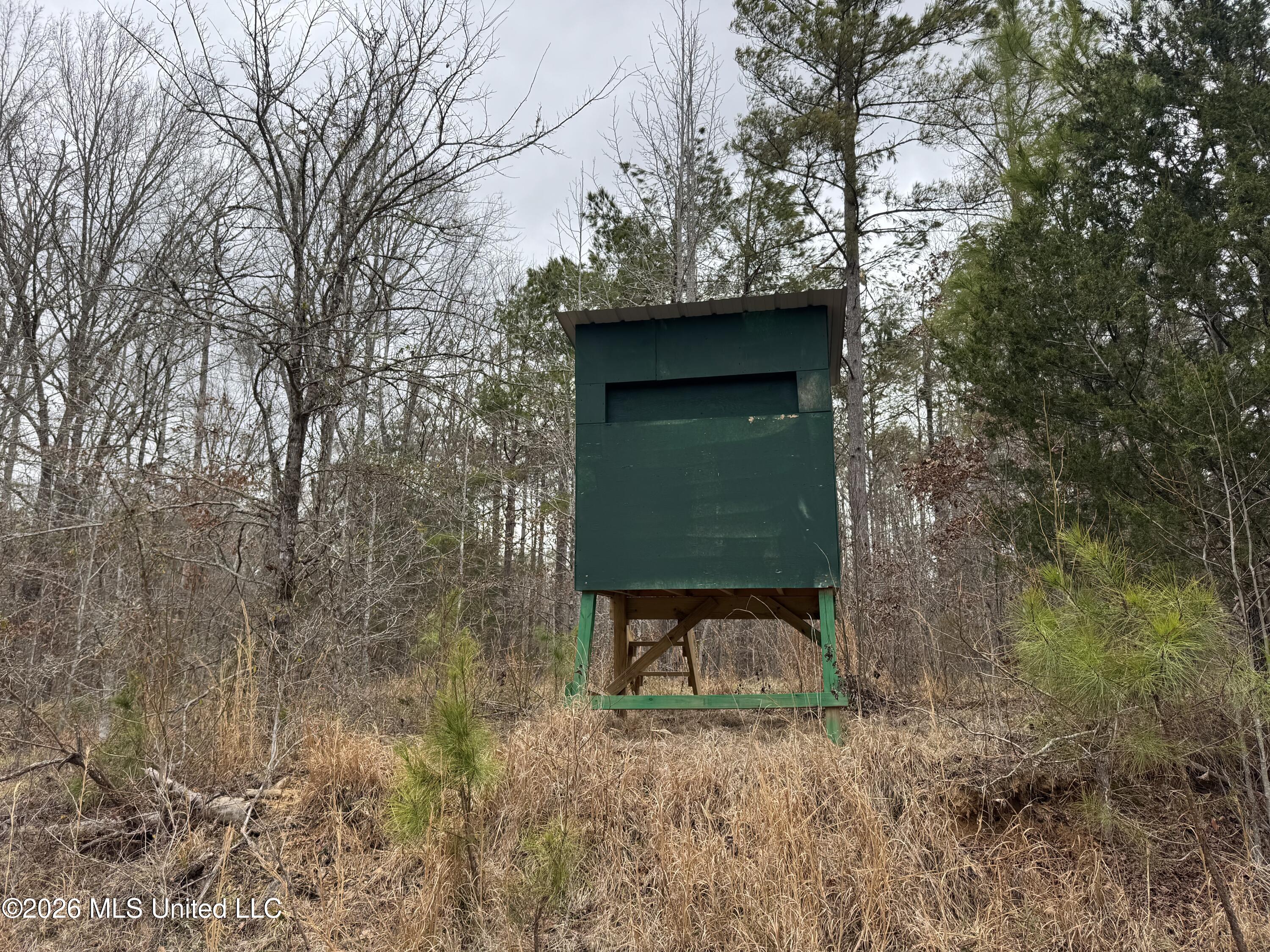 157 Eulogy Road Lexington, MS 39095 - Photo 48 of 60 Photo Feb 10 2026, 11 09 09