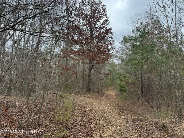 $720,000 | 157 Eulogy Road, Lexington, MS 39095