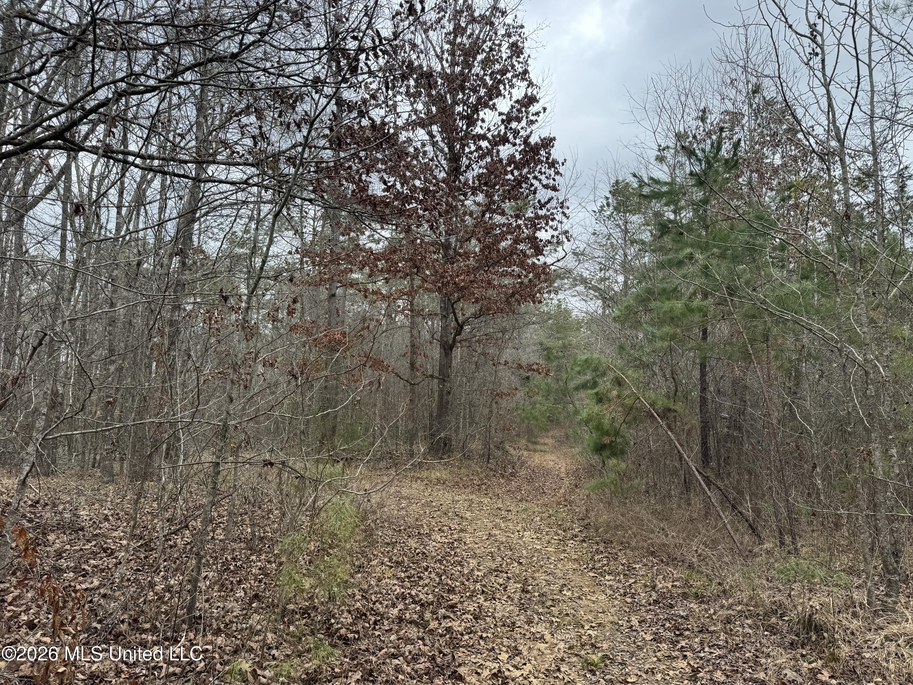 157 Eulogy Road Lexington, MS 39095 - Photo 49 of 60 Photo Feb 10 2026, 11 10 30