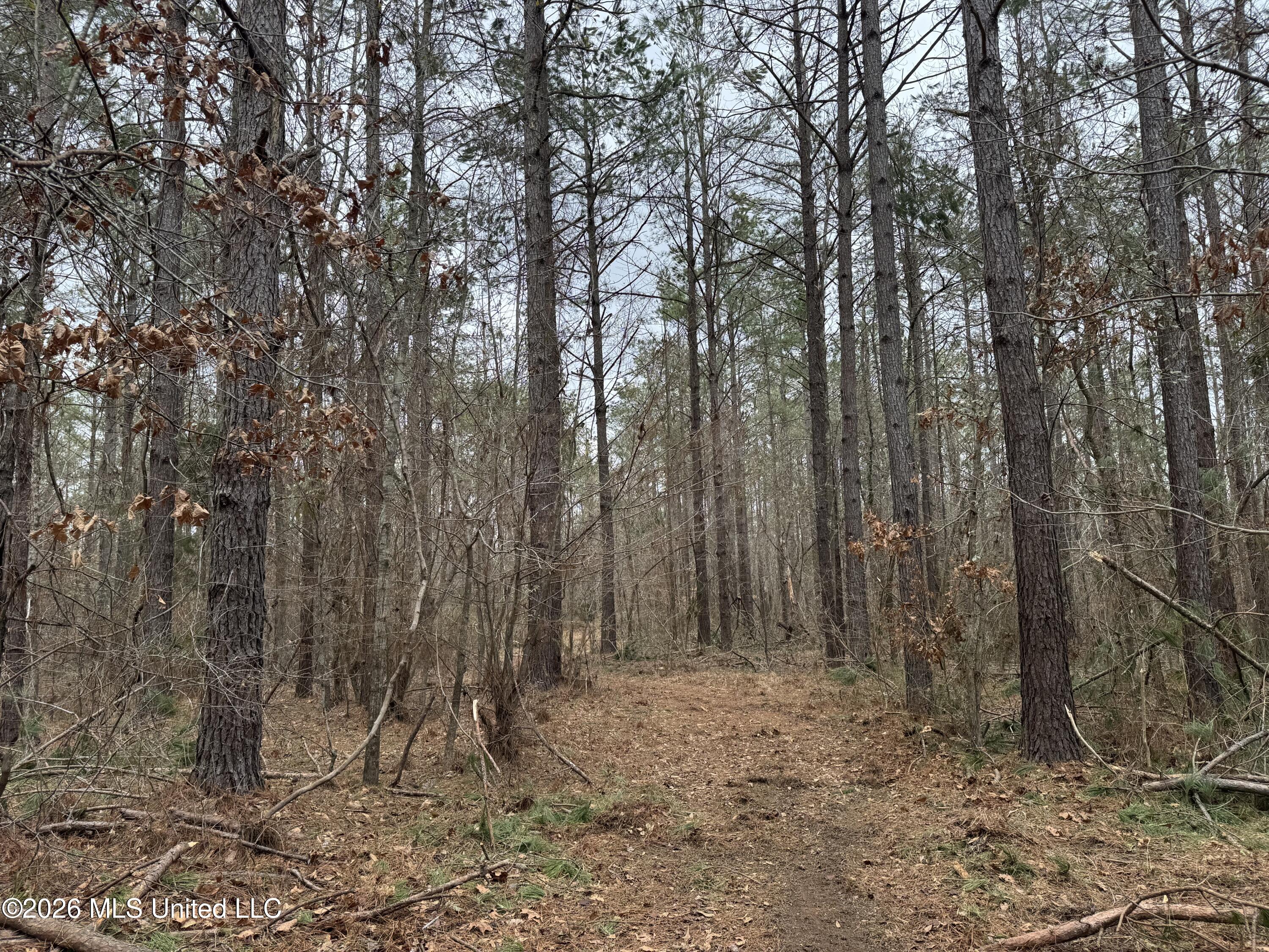 157 Eulogy Road Lexington, MS 39095 - Photo 50 of 60 Photo Feb 10 2026, 11 11 33