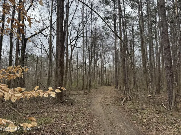 $720,000 | 157 Eulogy Road, Lexington, MS 39095