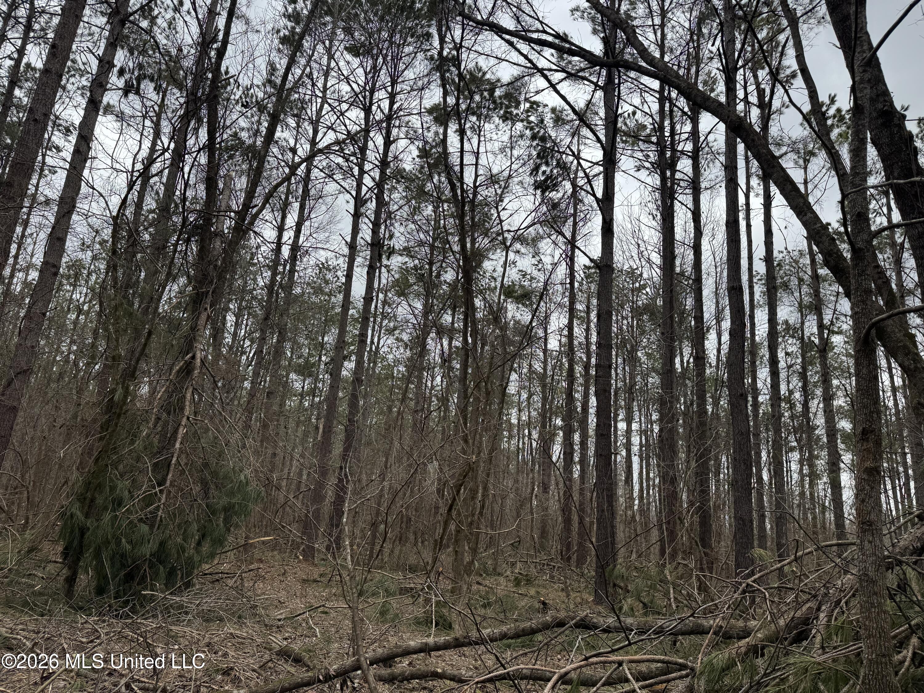 157 Eulogy Road Lexington, MS 39095 - Photo 51 of 60 Photo Feb 10 2026, 11 12 14