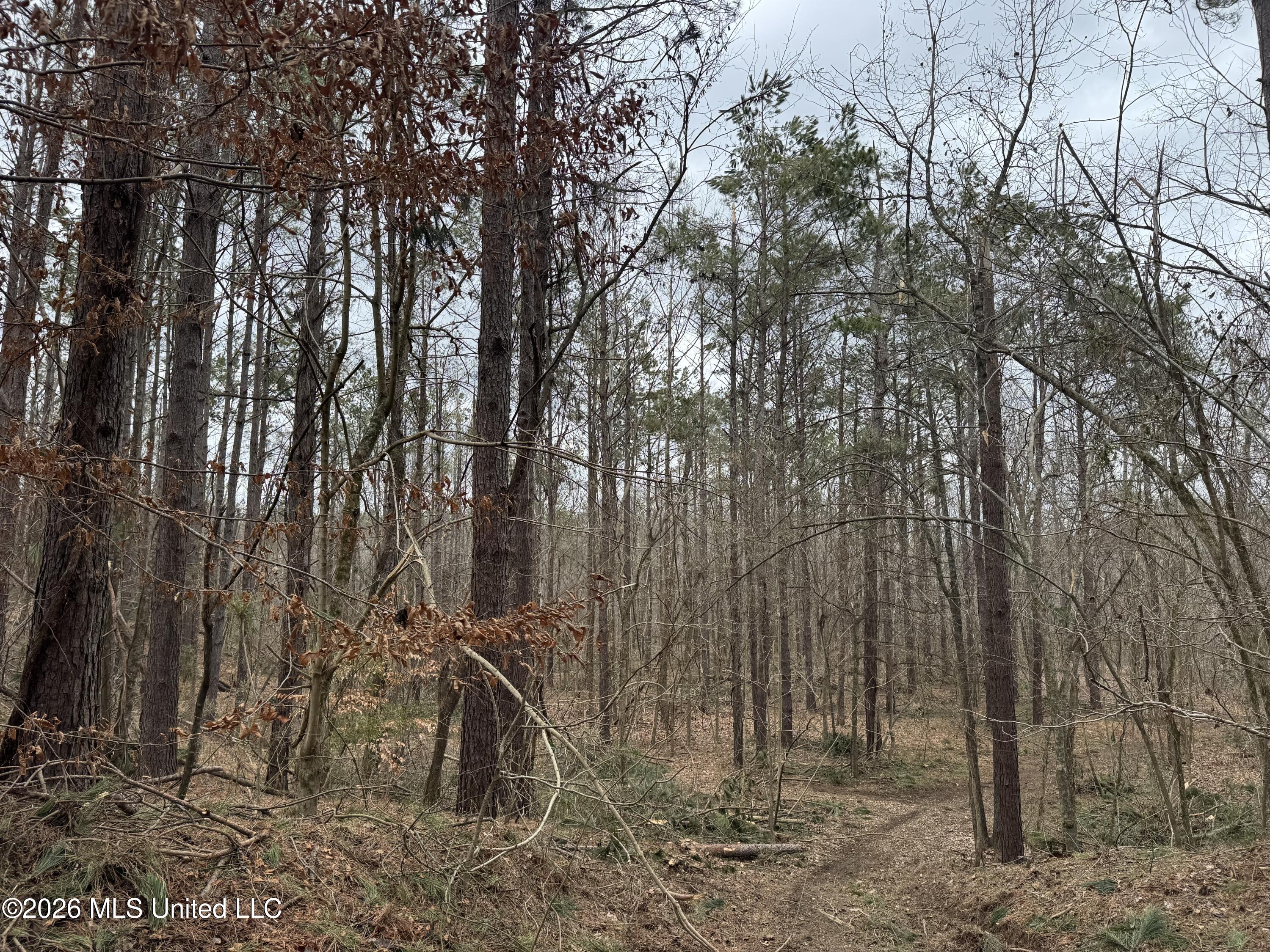 157 Eulogy Road Lexington, MS 39095 - Photo 52 of 60 Photo Feb 10 2026, 11 12 22