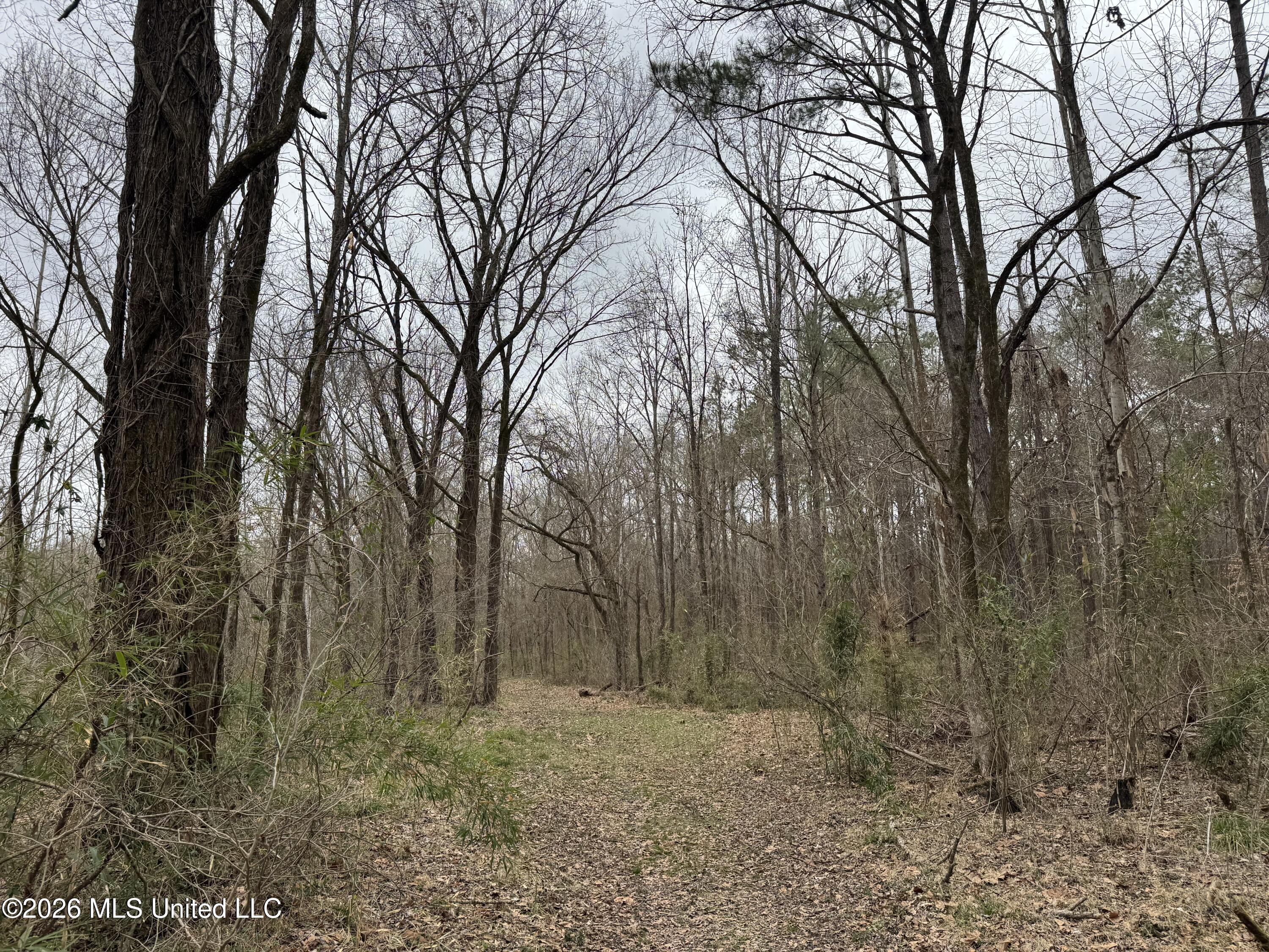 157 Eulogy Road Lexington, MS 39095 - Photo 53 of 60 Photo Feb 10 2026, 11 13 13
