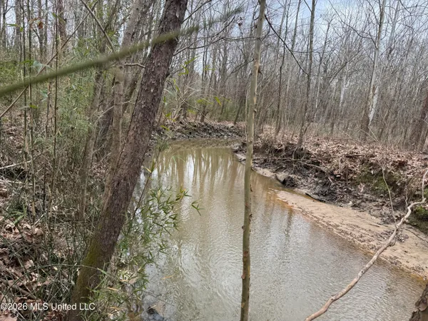 $720,000 | 157 Eulogy Road, Lexington, MS 39095