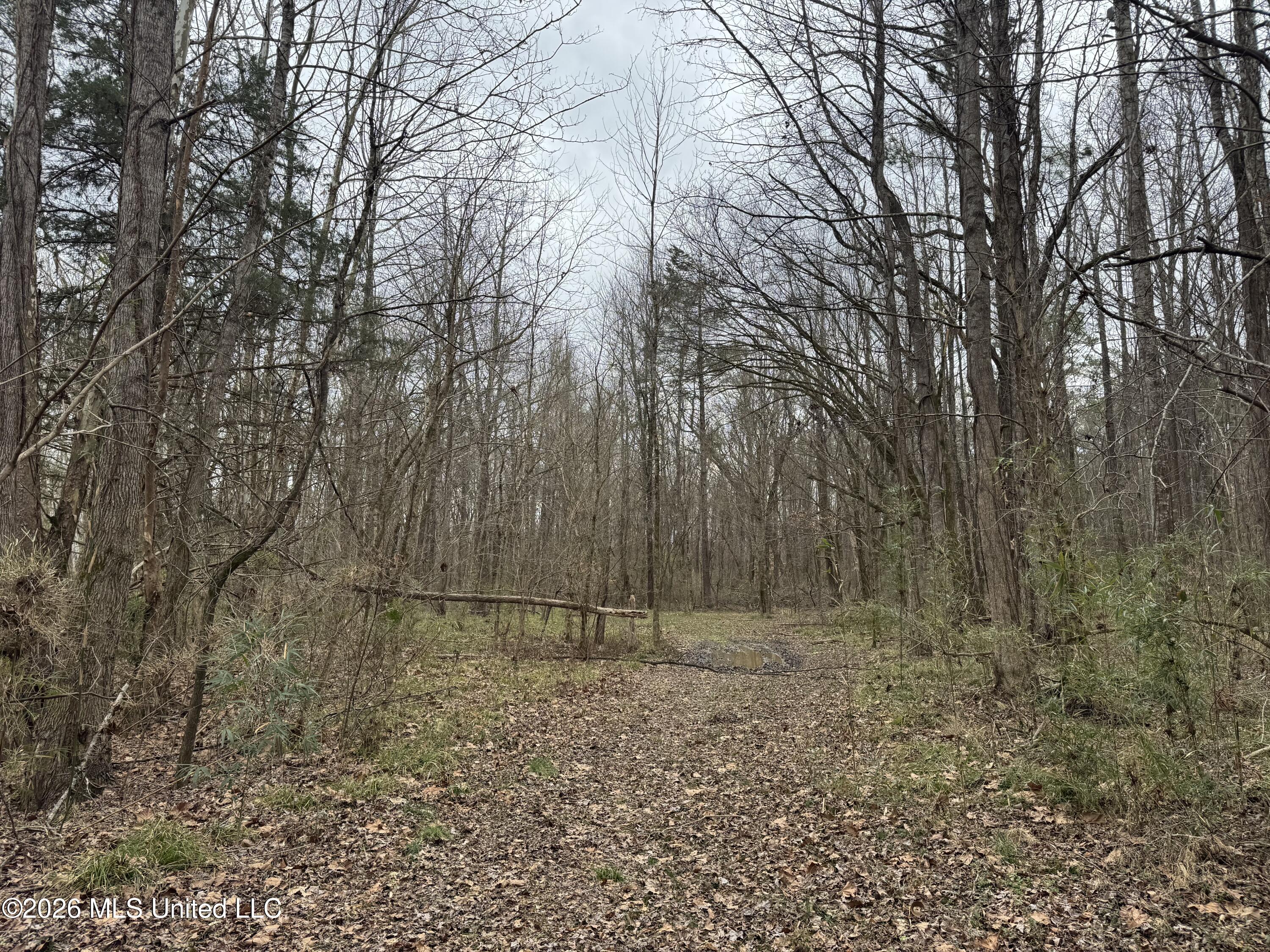 157 Eulogy Road Lexington, MS 39095 - Photo 55 of 60 Photo Feb 10 2026, 11 14 56