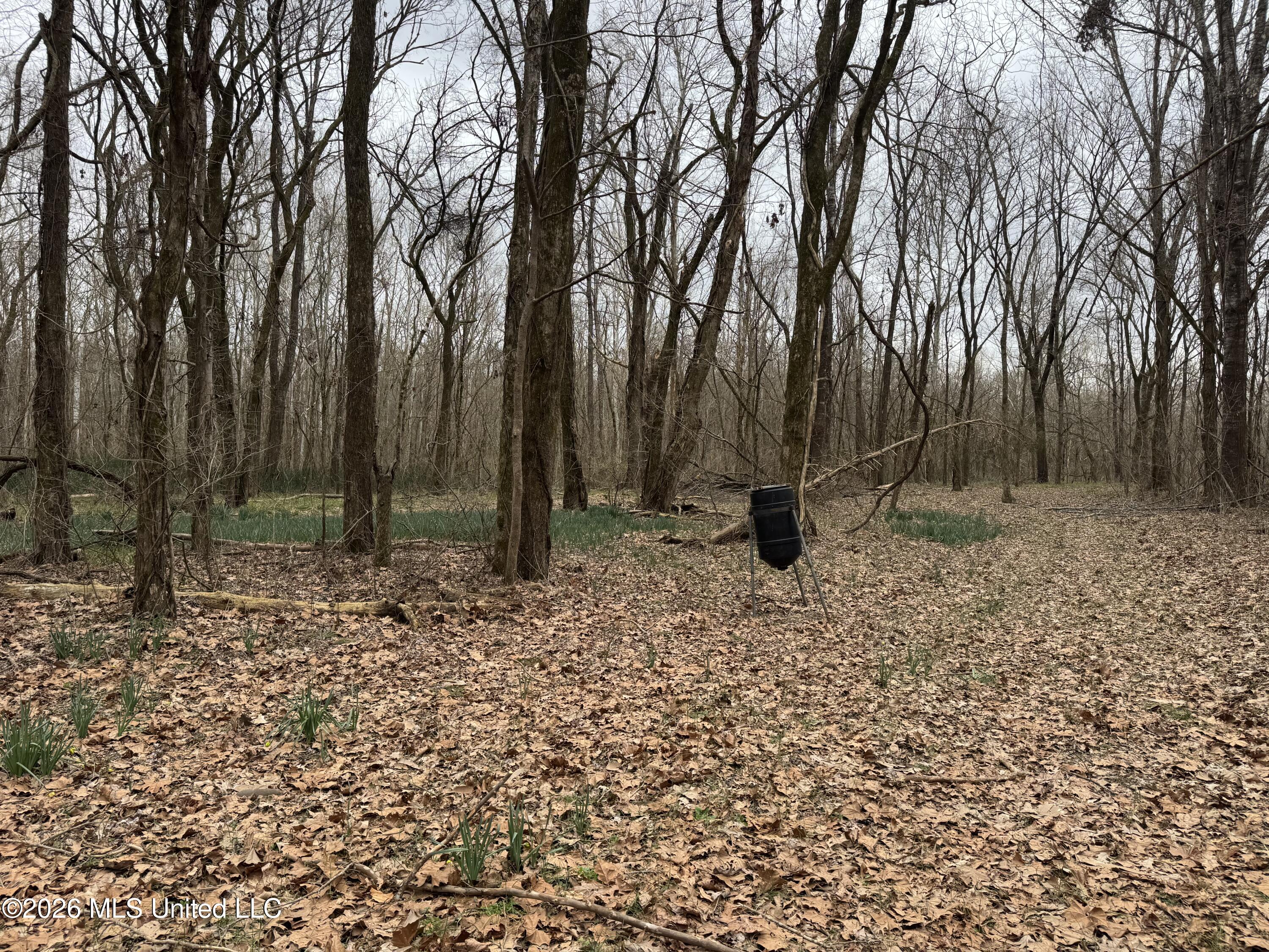 157 Eulogy Road Lexington, MS 39095 - Photo 56 of 60 Photo Feb 10 2026, 11 15 42