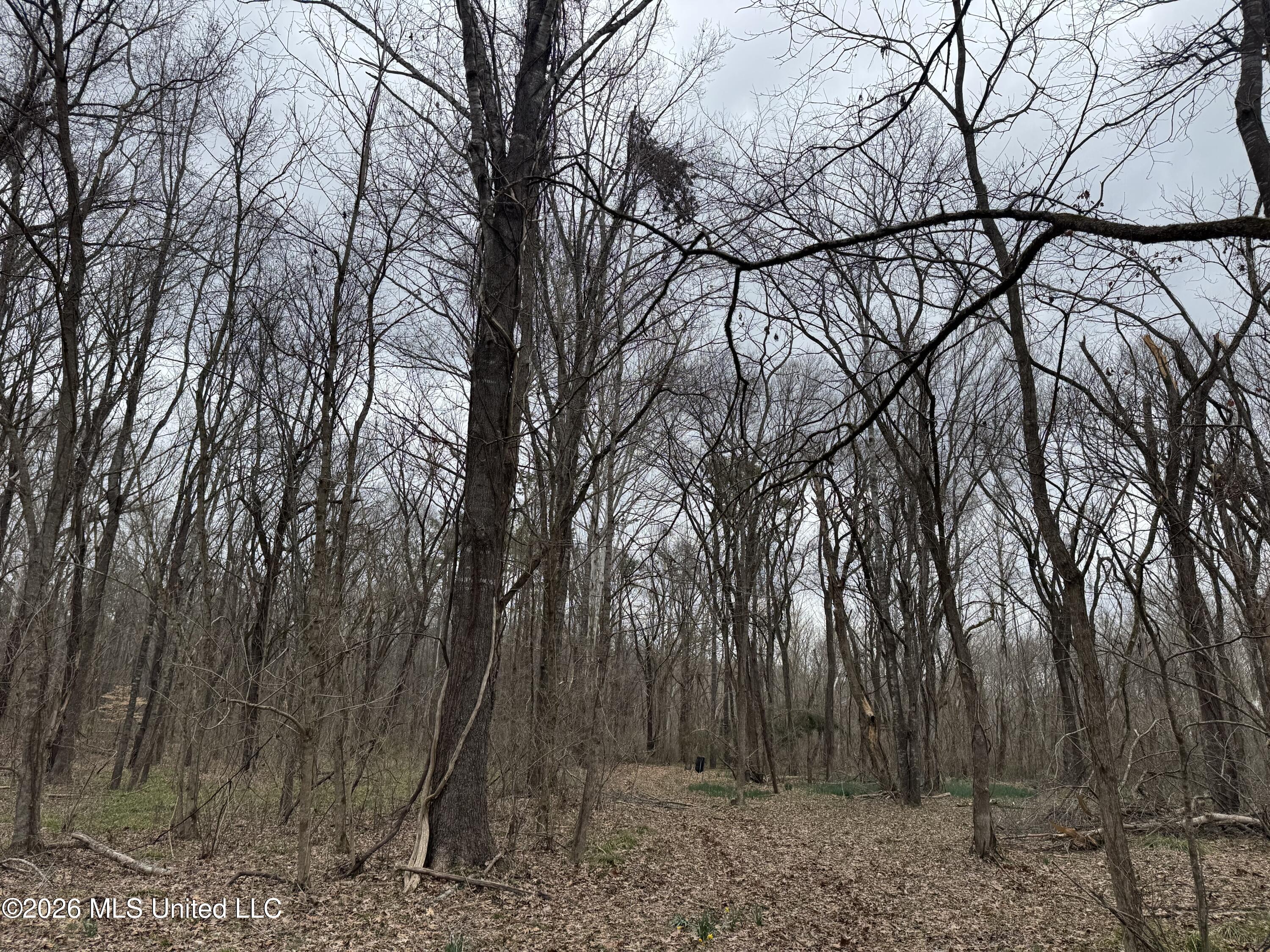 157 Eulogy Road Lexington, MS 39095 - Photo 57 of 60 Photo Feb 10 2026, 11 16 19