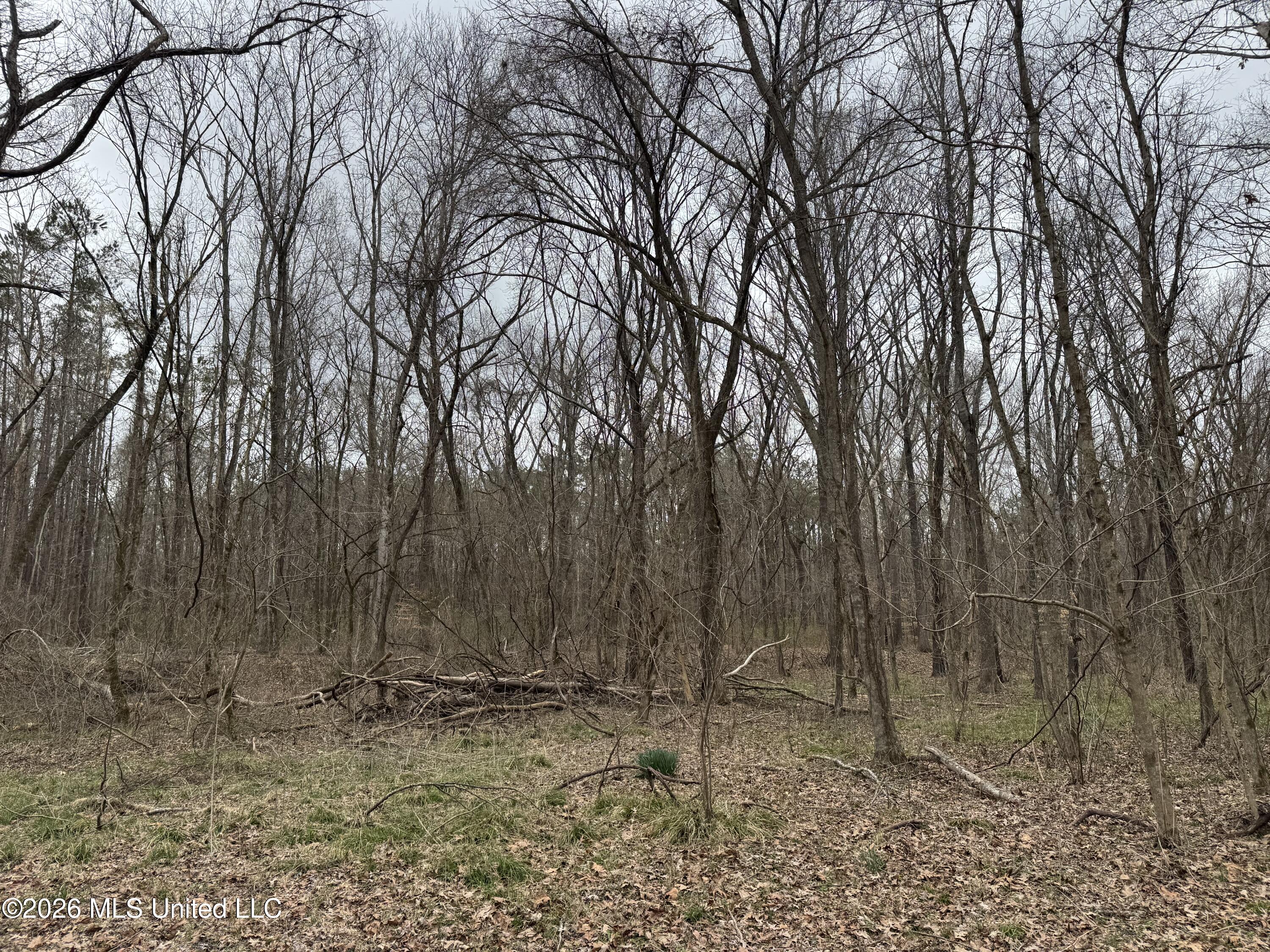 157 Eulogy Road Lexington, MS 39095 - Photo 58 of 60 Photo Feb 10 2026, 11 16 29