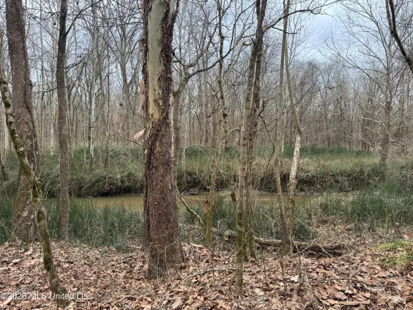 $720,000 | 157 Eulogy Road, Lexington, MS 39095