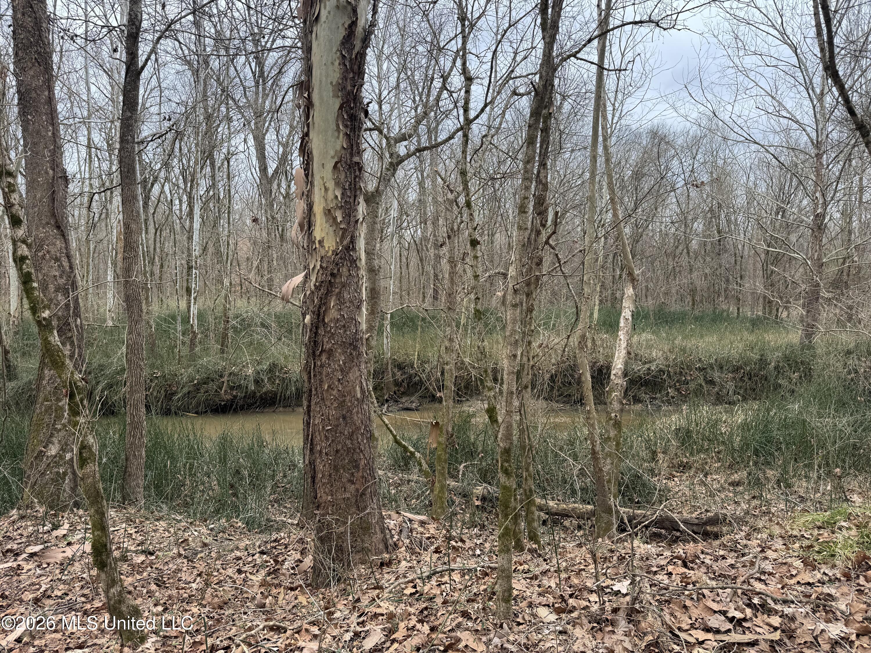 157 Eulogy Road Lexington, MS 39095 - Photo 59 of 60 Photo Feb 10 2026, 11 16 49