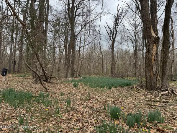 $720,000 | 157 Eulogy Road, Lexington, MS 39095
