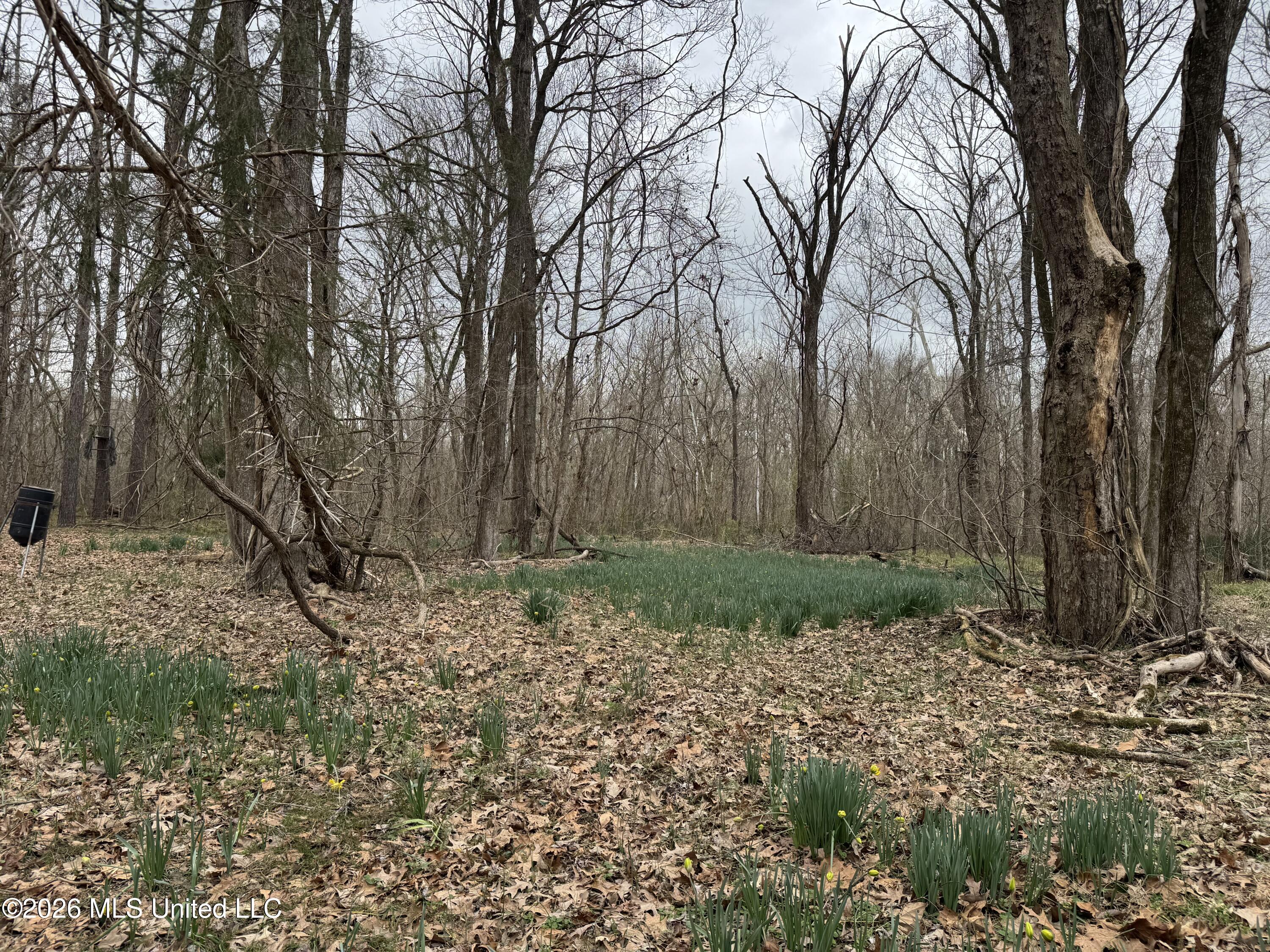 157 Eulogy Road Lexington, MS 39095 - Photo 60 of 60 Photo Feb 10 2026, 11 18 02