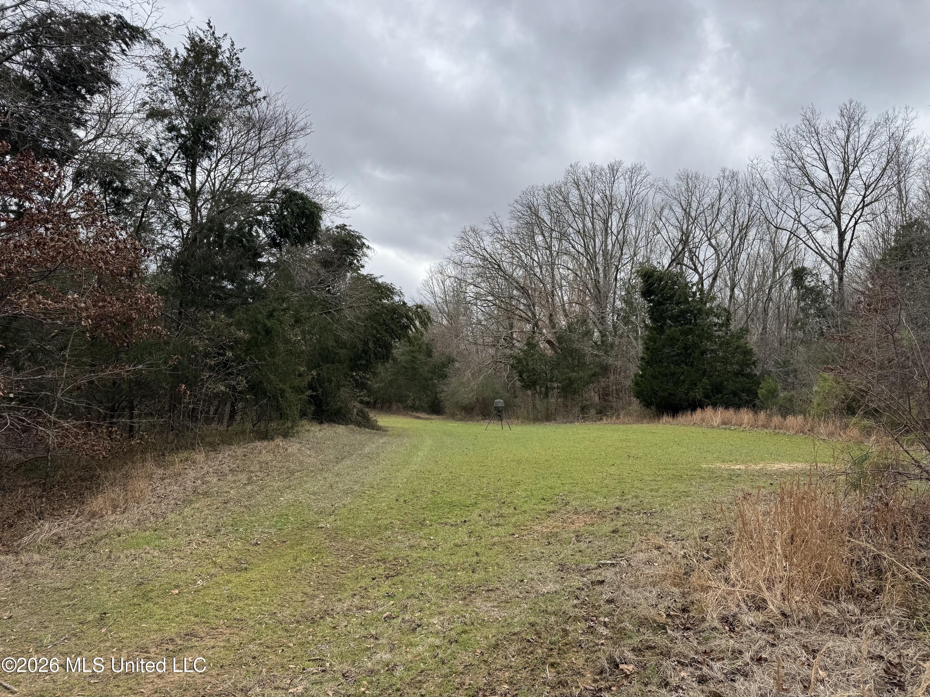 157 Eulogy Road Lexington, MS 39095 - Photo 6 of 60 5- MLS