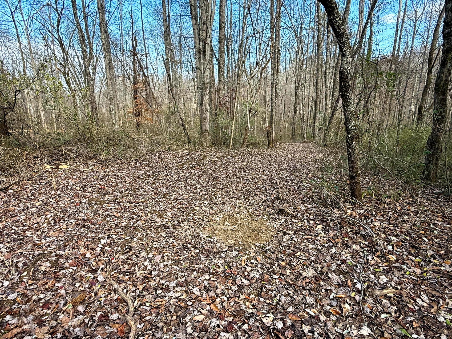 0 Dutch Ridge Road Southeast, Unit WOODS TURKEY RUN TRACT 4) New Lexington, OH 43764 - Photo 56 of 58 CT-56