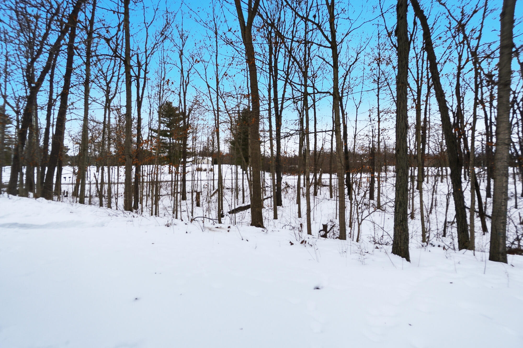 3000 South Sunderland Road Lima, OH 45806 - Photo 99 of 99