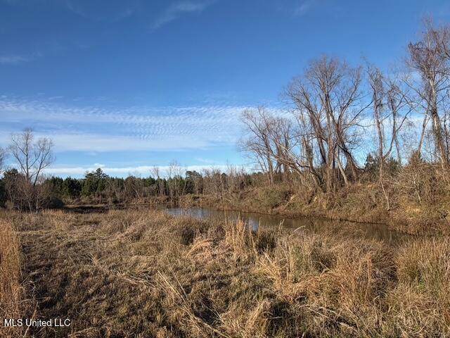 Raymond Road Jackson, MS 39212 - Photo 65 of 86 IMG_1070