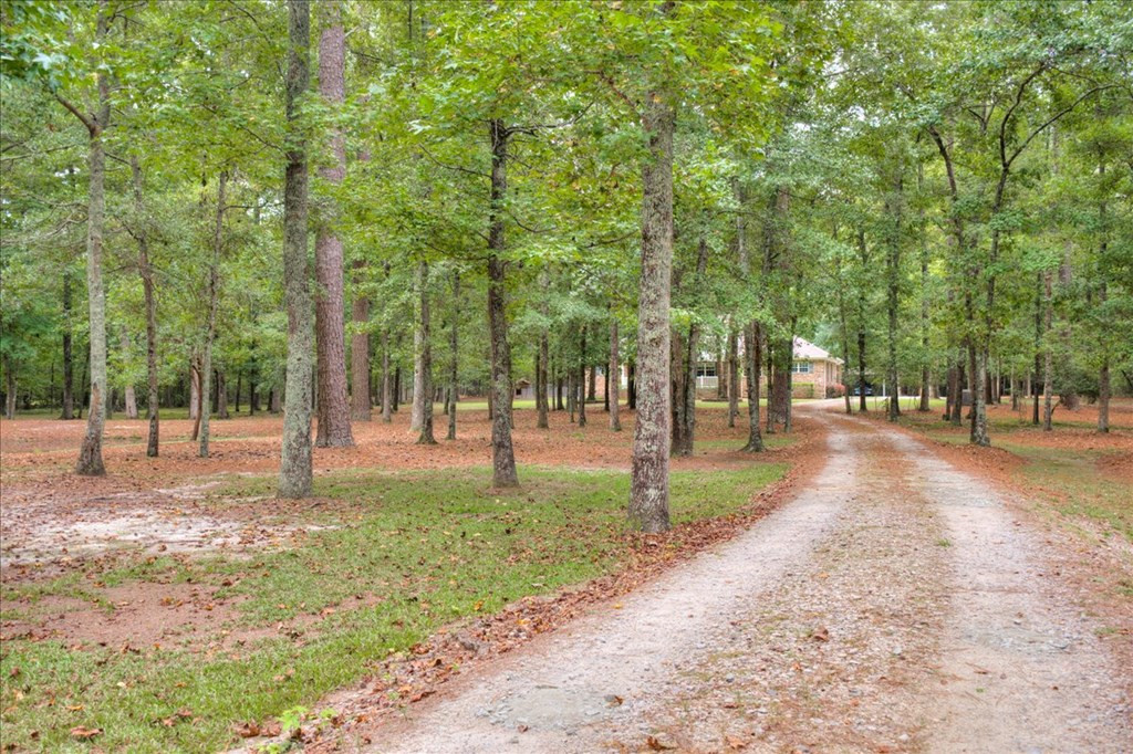 148 Twin Creek Farm Road Aiken, SC 29805 - Photo 36 of 62