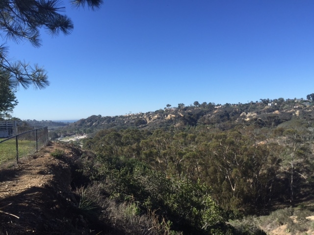 3622 Garner Place Encinitas, CA 92024 - Photo 2 of 2