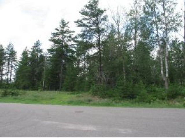 Lot 36 Pine View Drive Rhinelander, WI 54501 - Photo 7 of 7 Gallery Image 7