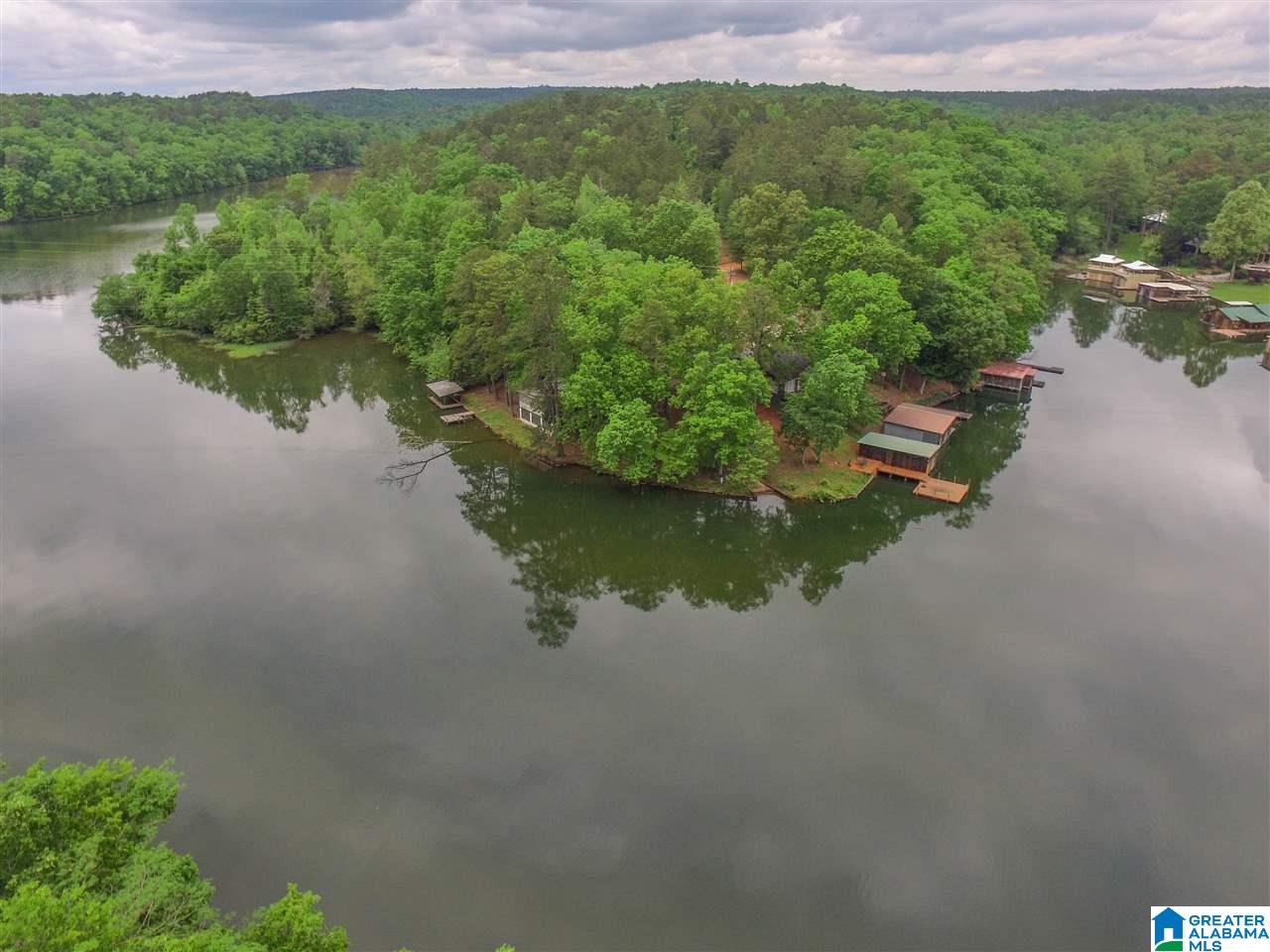 1631 County Road 485 Clanton, AL 35046 - Photo 8 of 15