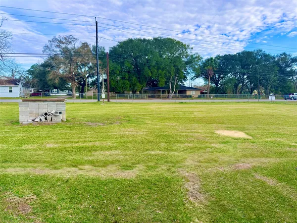 a view of swimming pool with lawn chairs and large tree