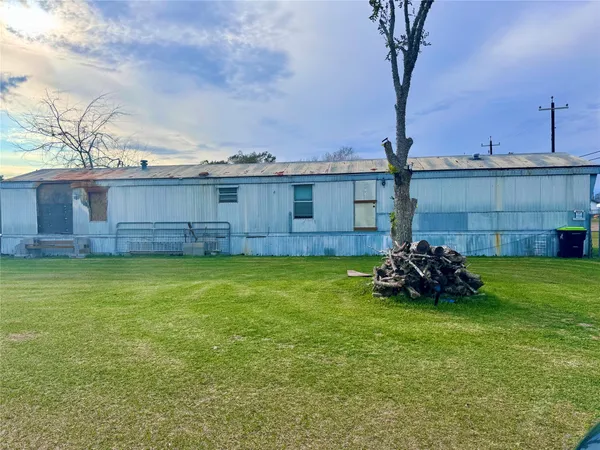 a view of a backyard with plants and large trees
