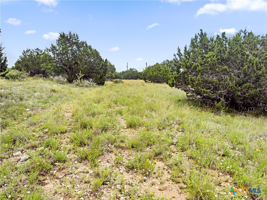 141 Vista View Place Spring Branch, TX 78070 - Photo 12 of 32