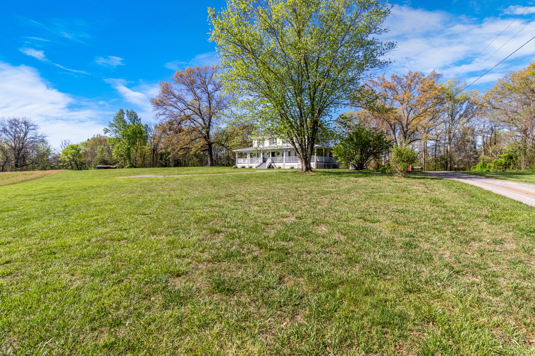 3860 Head Road Adams, TN 37010 - Photo 27 of 32 a view of a field with trees in the background