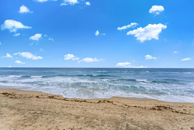 a living room with furniture plant and large windows