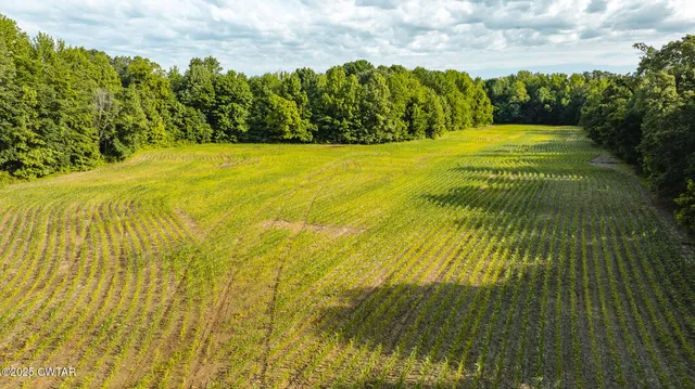 a view of an ocean from a balcony