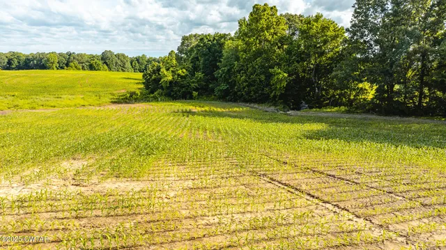 a view of an ocean from a yard