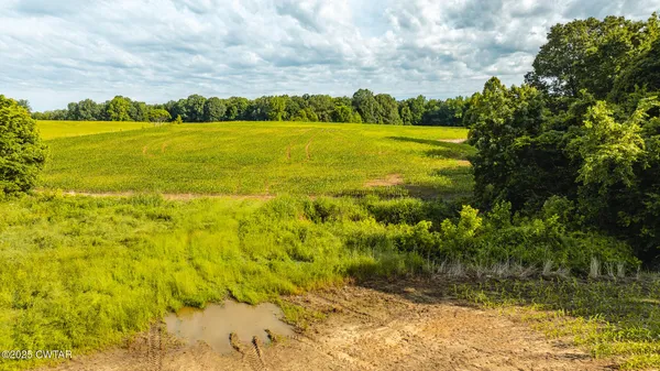 a view of an outdoor space and swimming pool