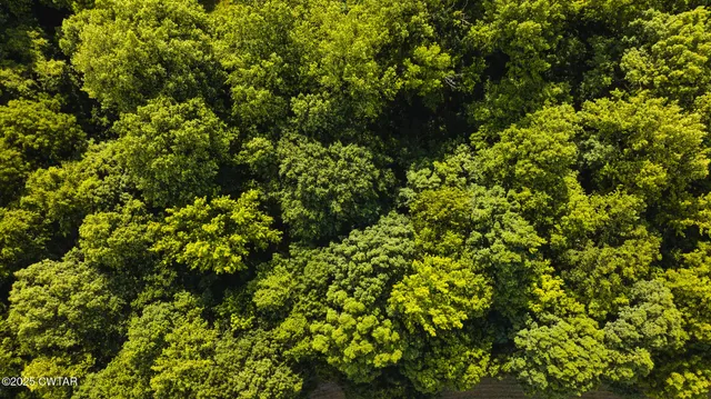 a view of a bathroom shower